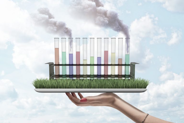 IPCP Policy Brief: The precautionary principle as an important element of the SPP’s work