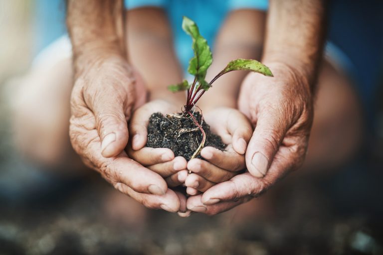 IPCP Policy Brief: Leveraging solution-oriented assessments for the SPP